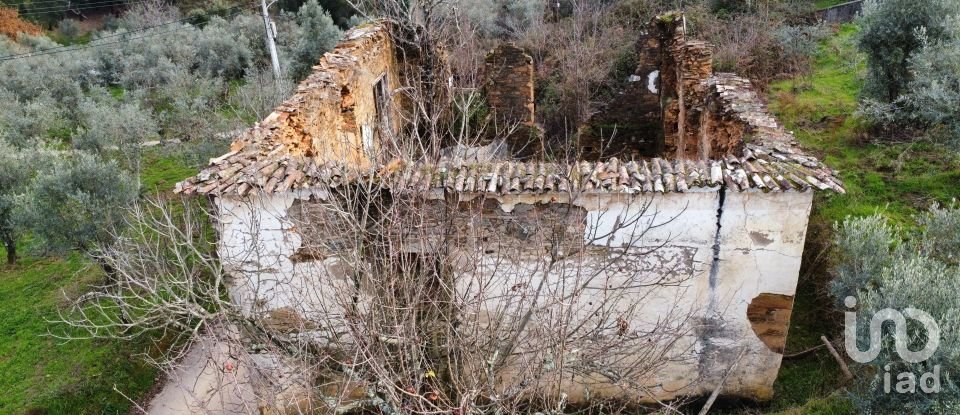 Moradia T0 em Alvares de 220 m²