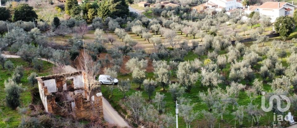 Moradia T0 em Alvares de 220 m²
