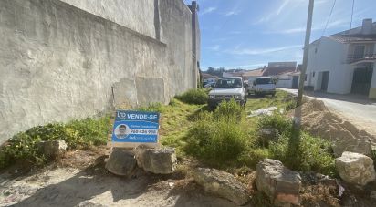 Terrain à bâtir à Alcobaça e Vestiaria de 225 m²