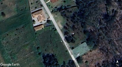 Maison de village T0 à Cadima de 60 m²