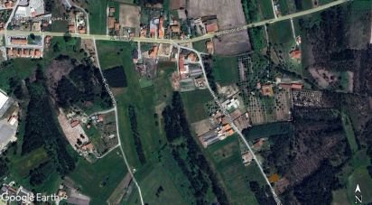 Maison de village T0 à Cadima de 60 m²