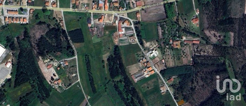 Casa de aldeia T0 em Cadima de 60 m²