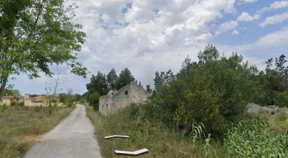 Maison de village T0 à Cadima de 60 m²