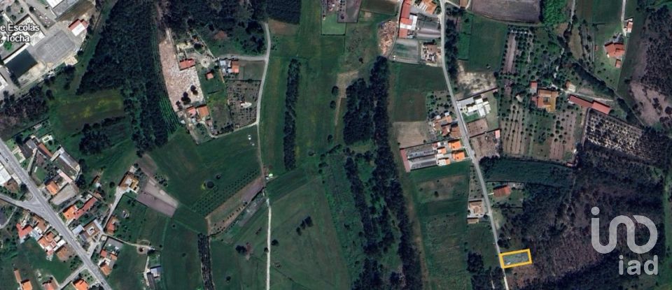 Casa de aldeia T0 em Cadima de 60 m²