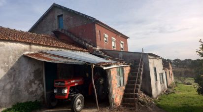 Maison T3 à Salir de Matos de 110 m²