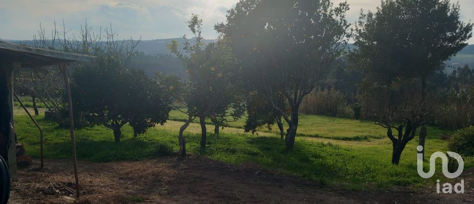 Moradia T3 em Salir de Matos de 110 m²