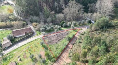 Terrain à bâtir à Miranda do Corvo de 1 350 m²