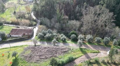 Terrain à bâtir à Miranda do Corvo de 1 350 m²