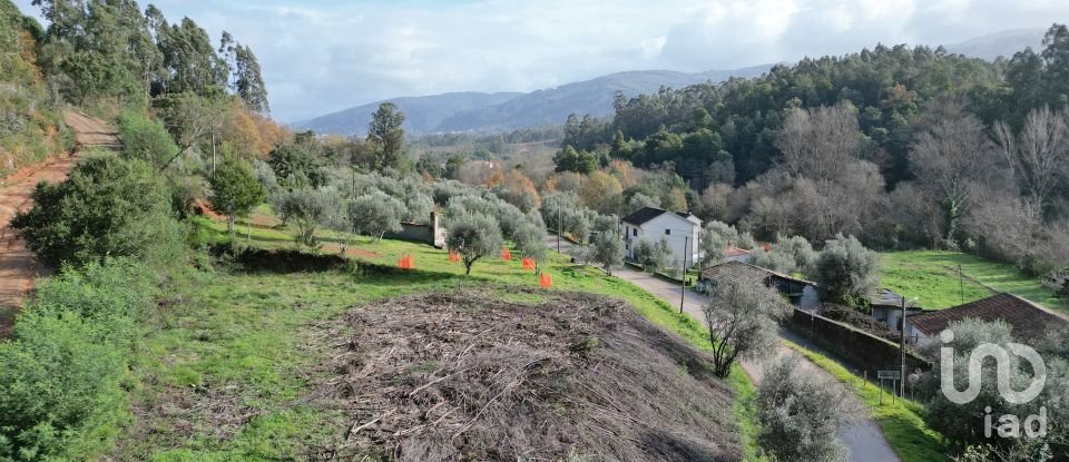 Terrain à bâtir à Miranda do Corvo de 1 350 m²