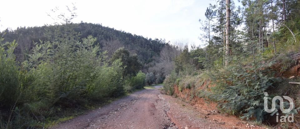 Terrain à bâtir à Miranda do Corvo de 1 350 m²