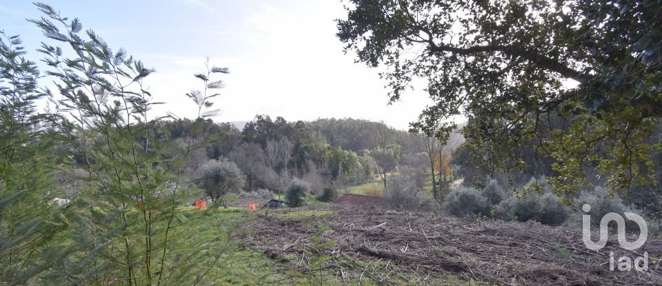 Terrain à bâtir à Miranda do Corvo de 1 350 m²