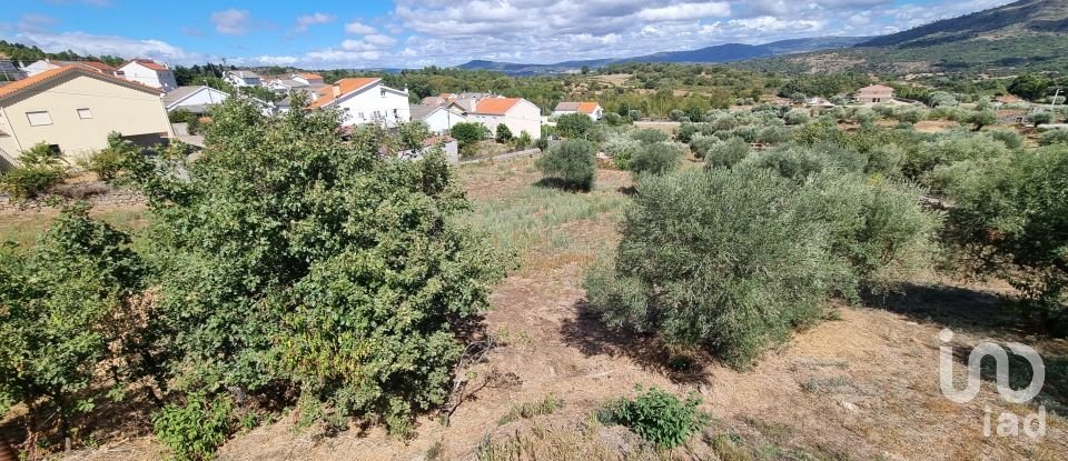 Terreno urbano em Vale de Azares de 4 400 m²