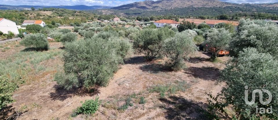 Terreno urbano em Vale de Azares de 4 400 m²