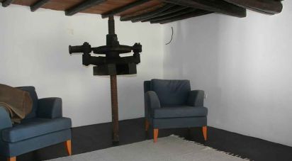 Ferme T5 à Reguengo e São Julião de 581 m²