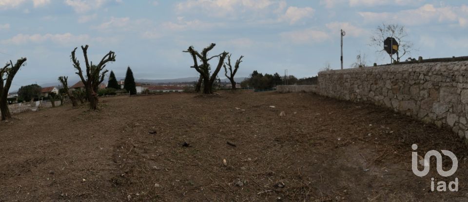 Land in São romão de neiva of 7,500 m²