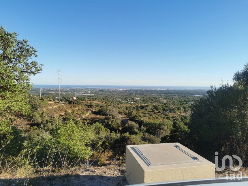 Terrain agricole à Conceição e Estoi de 11 080 m²