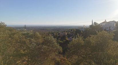 Terrain agricole à Conceição e Estoi de 11 080 m²