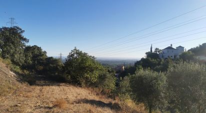 Terrain agricole à Conceição e Estoi de 11 080 m²