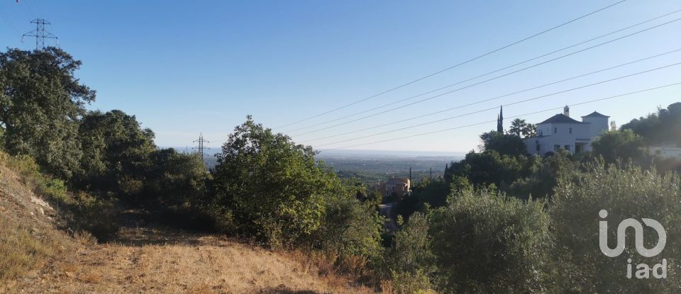 Terrain agricole à Conceição e Estoi de 11 080 m²