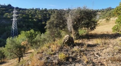 Terrain agricole à Conceição e Estoi de 11 080 m²