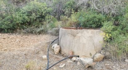 Terrain agricole à Conceição e Estoi de 11 080 m²