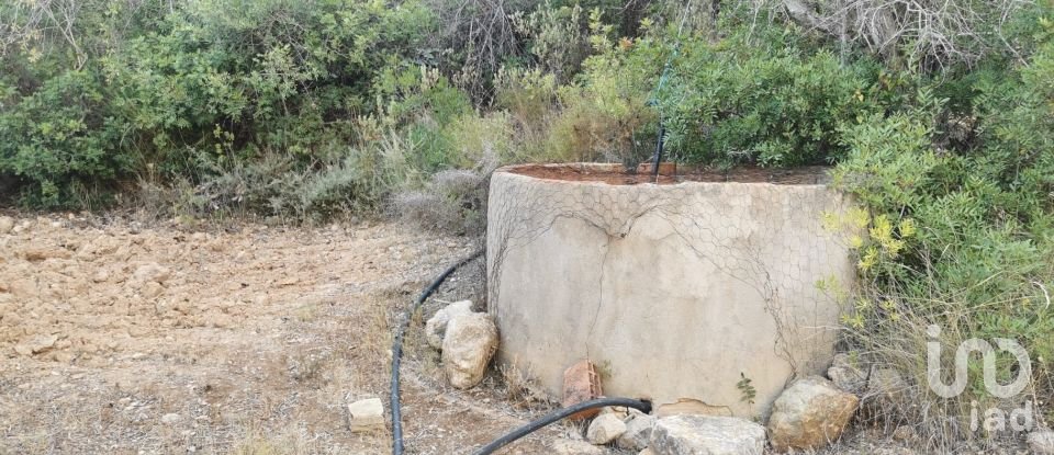 Terrain agricole à Conceição e Estoi de 11 080 m²