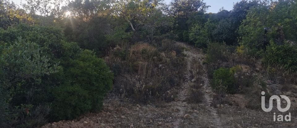 Terrain agricole à Conceição e Estoi de 11 080 m²