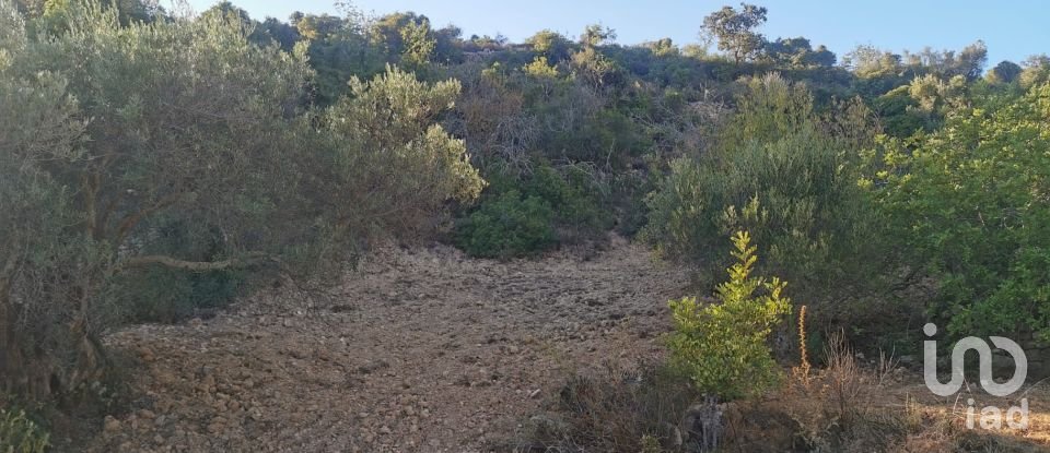 Terrain agricole à Conceição e Estoi de 11 080 m²