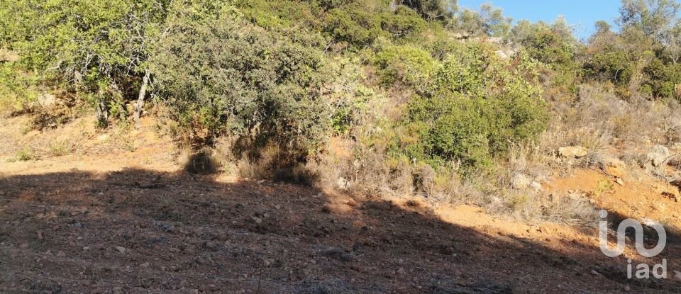 Terrain agricole à Conceição e Estoi de 11 080 m²