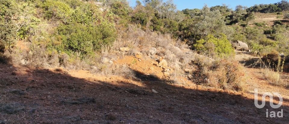 Terrain agricole à Conceição e Estoi de 11 080 m²