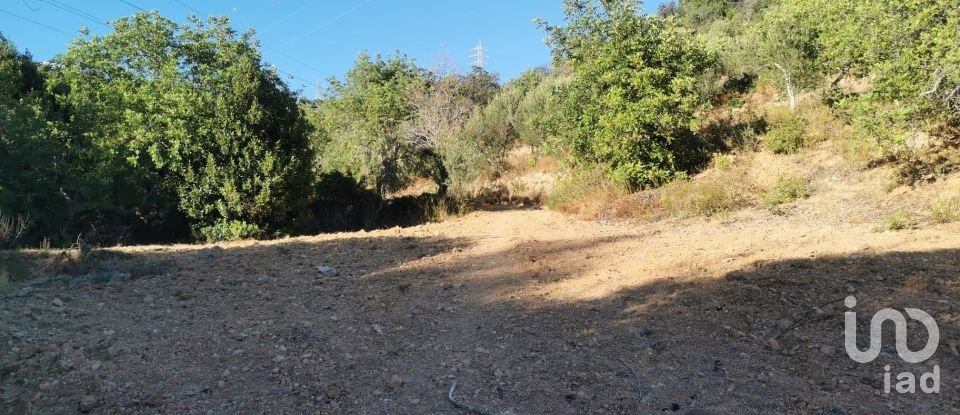 Terrain agricole à Conceição e Estoi de 11 080 m²