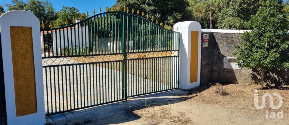 Quinta T5 em Ribeira de Nisa e Carreiras de 235 m²