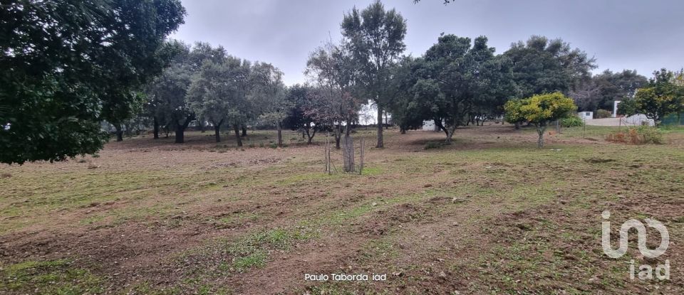 Quinta T5 em Ribeira de Nisa e Carreiras de 235 m²