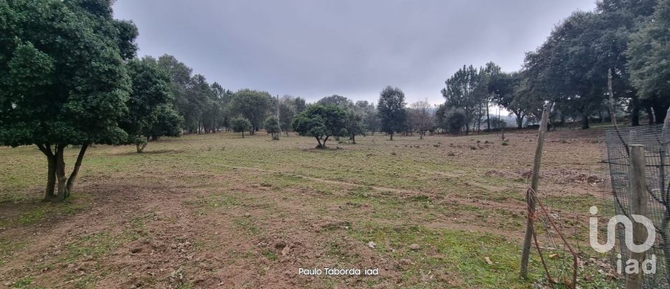 Quinta T5 em Ribeira de Nisa e Carreiras de 235 m²