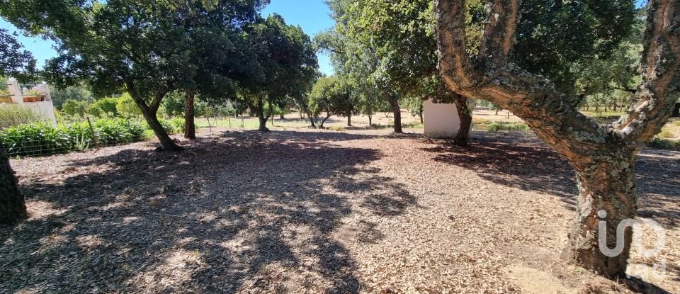 Quinta T5 em Ribeira de Nisa e Carreiras de 235 m²