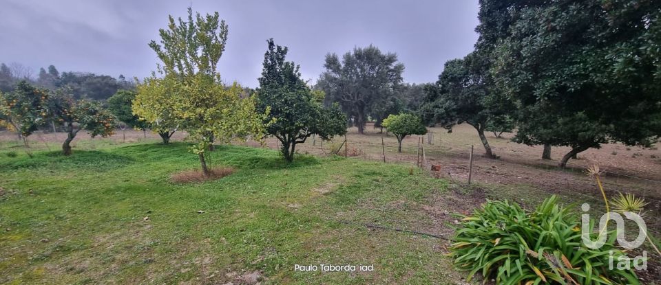 Quinta T5 em Ribeira de Nisa e Carreiras de 235 m²