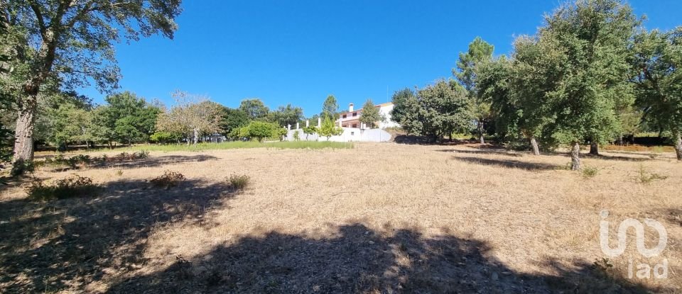 Quinta T5 em Ribeira de Nisa e Carreiras de 235 m²