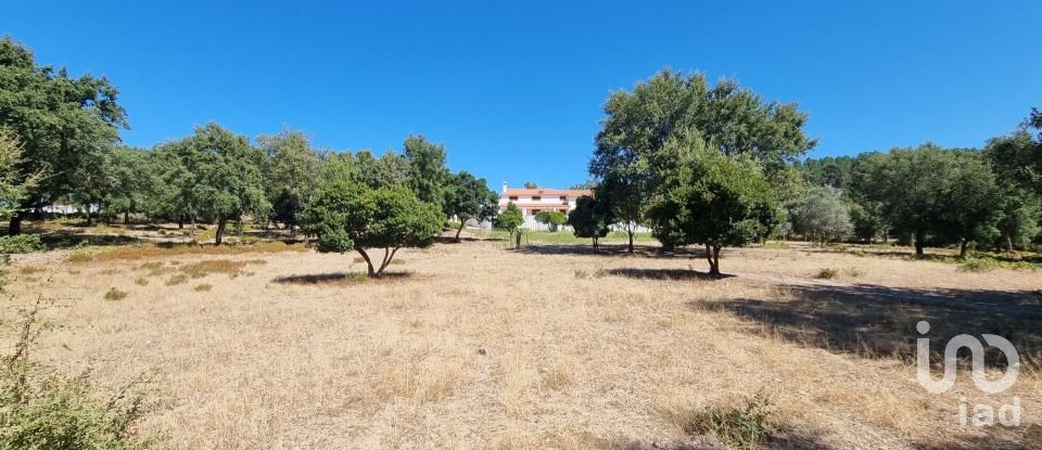 Quinta T5 em Ribeira de Nisa e Carreiras de 235 m²