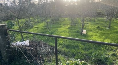 Maison T3 à Santa Cruz da Trapa e São Cristóvão de Lafões de 184 m²