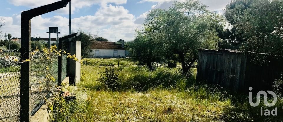 Terrain à Palmela de 1 086 m²