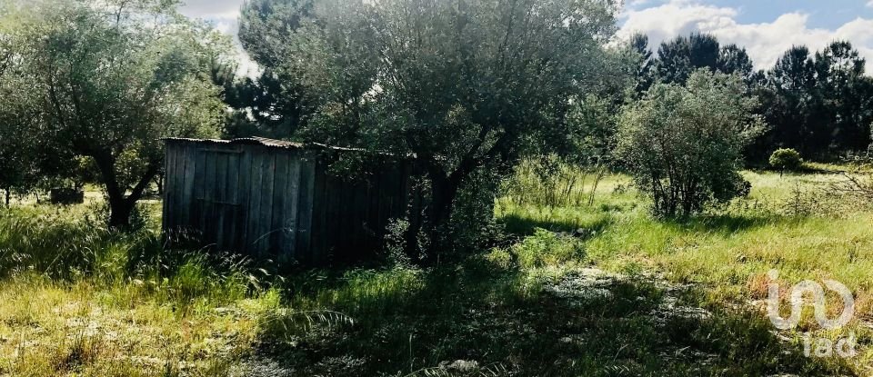 Terrain à Palmela de 1 086 m²