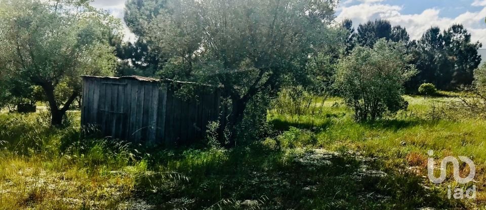 Terrain à Palmela de 1 086 m²