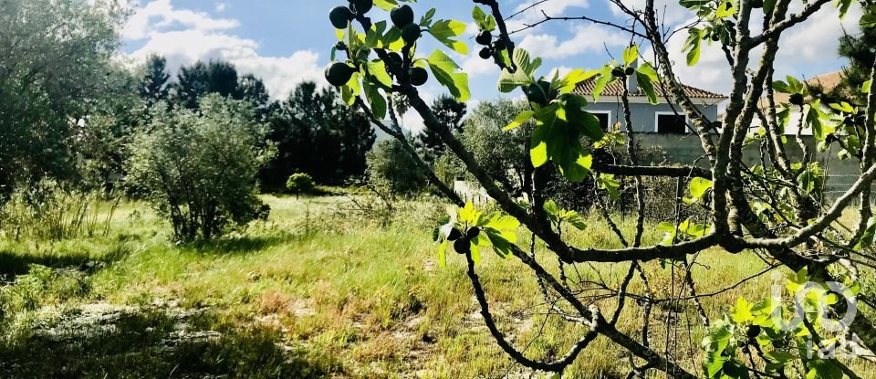 Terrain à Palmela de 1 086 m²