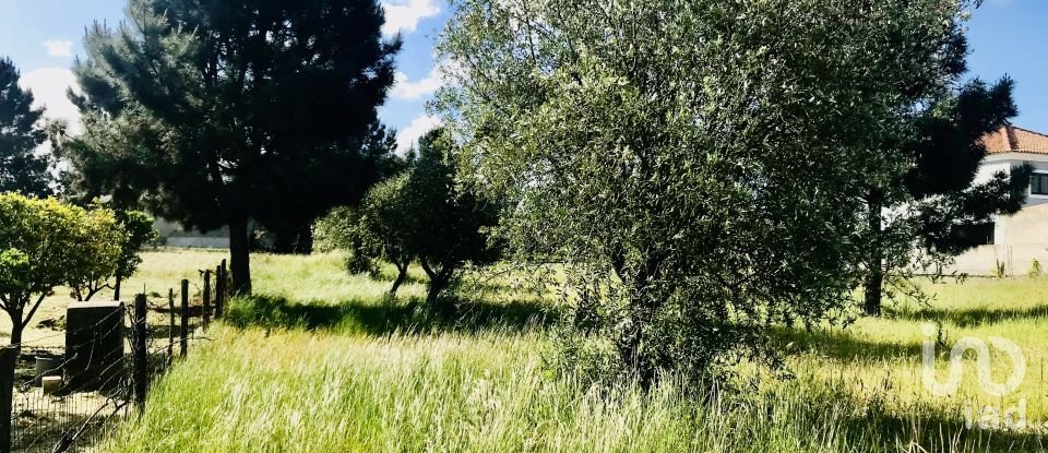 Terrain à Palmela de 1 086 m²