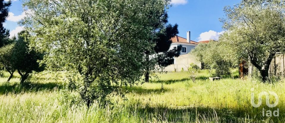 Terrain à Palmela de 1 086 m²