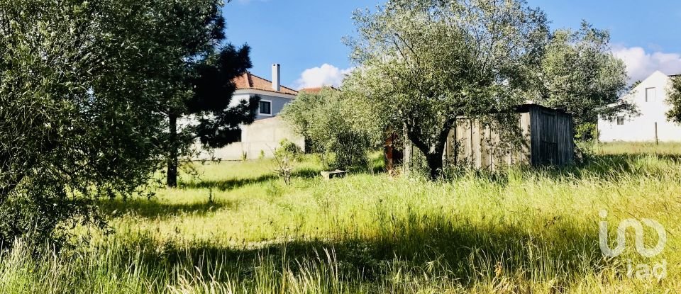 Terrain à Palmela de 1 086 m²