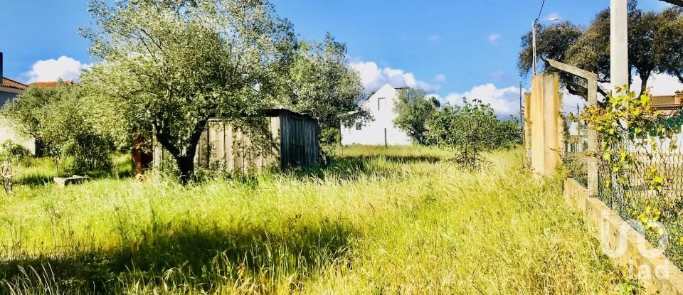 Terrain à Palmela de 1 086 m²