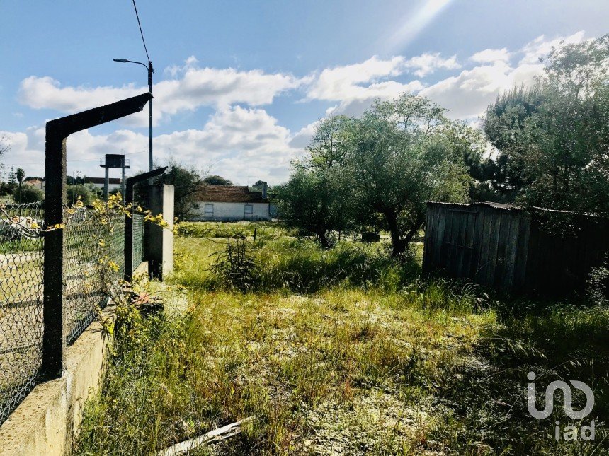 Terrain à Palmela de 1 086 m²