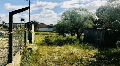 Terrain à Palmela de 1 086 m²