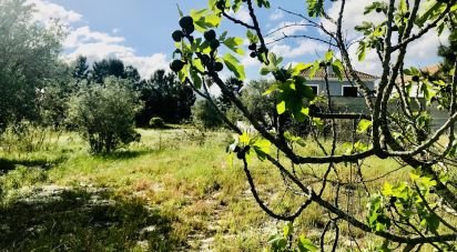 Terrain à Palmela de 1 086 m²